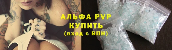 СК Абинск
