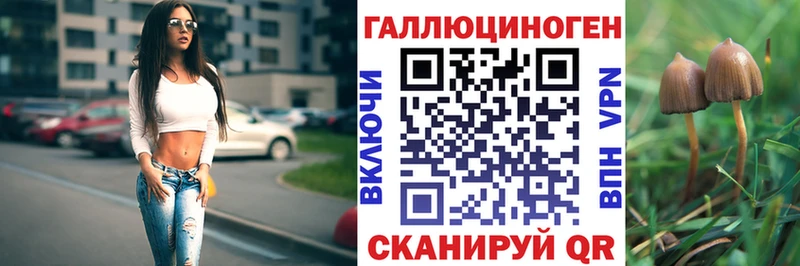 Псилоцибиновые грибы GOLDEN TEACHER  сколько стоит  Циолковский 