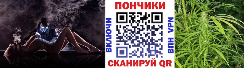 Бошки Шишки THC 21%  блэк спрут маркетплейс  Циолковский 